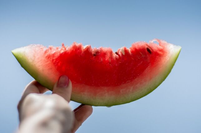 rodaja de sandia